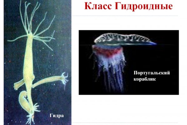 Кракен торговая площадка даркнет