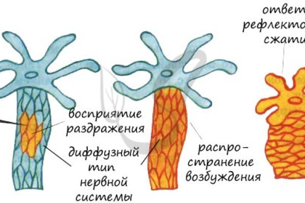 Ссылка кракен сегодня