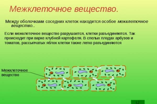 Kraken сайт tor