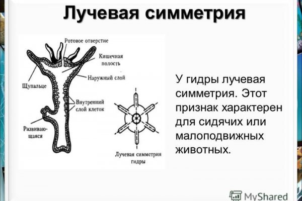 Кракен магазин нарков